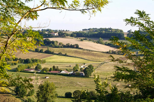Comment s'habiller pour une journée à la campagne en été